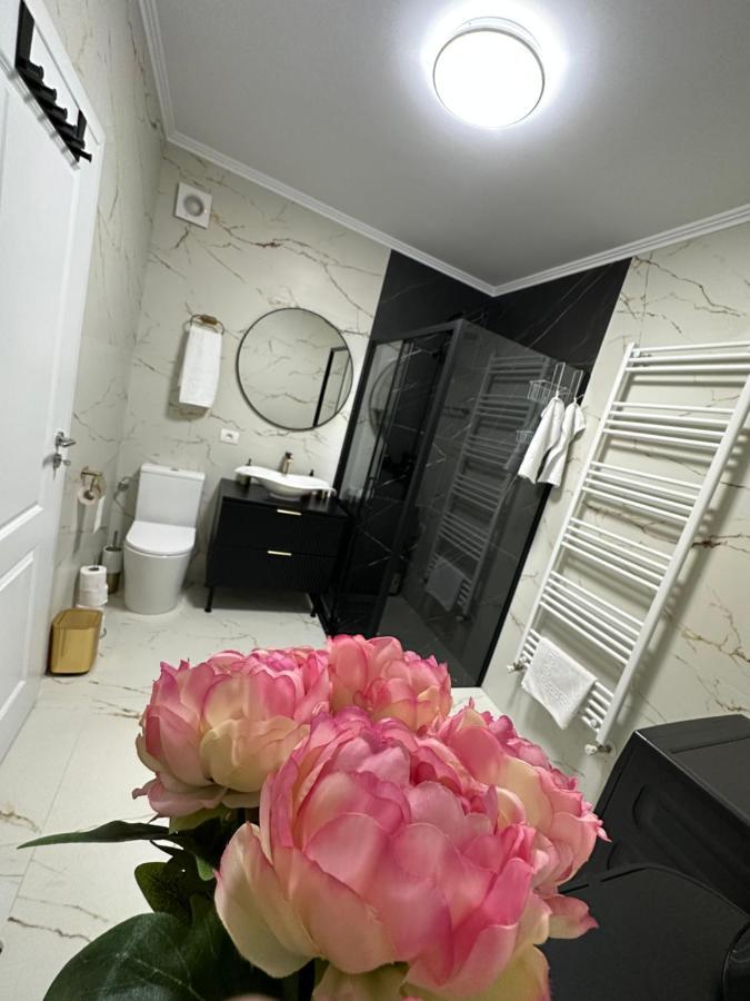 Apartament Bisera تيميشورا المظهر الخارجي الصورة